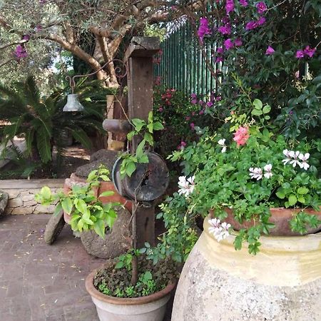 Appartement Il Casale Del Cortonese à Sassari Extérieur photo