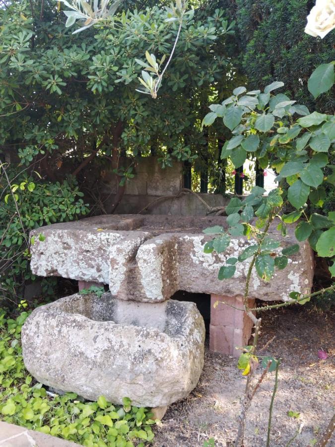 Appartement Il Casale Del Cortonese à Sassari Extérieur photo